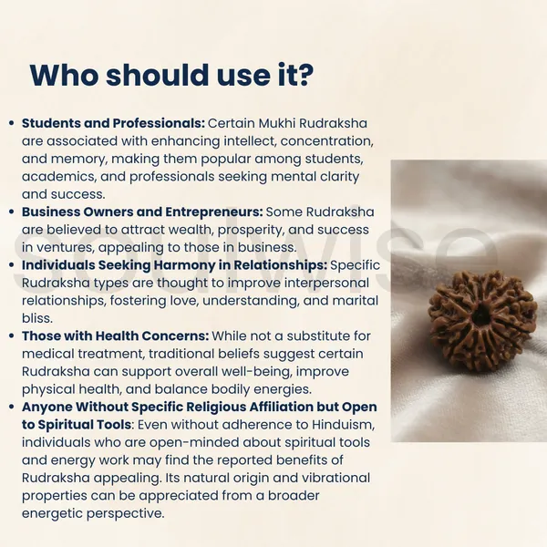 Natural_12_Mukhi_Rudraksha_Nepal_Origin_Twelve_Face_Rudraksha_For_Confidence_Leadership_Success_Certified_Energized