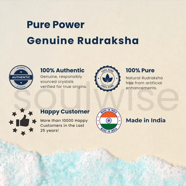 Natural_12_Mukhi_Rudraksha_Nepal_Origin_Twelve_Face_Rudraksha_For_Confidence_Leadership_Success_Certified_Energized