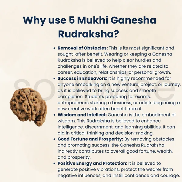 Natural_5_Mukhi_Ganesh_Rudraksha_Nepal_Origin_Panch_Mukhi_Rudraksha_For_Wisdom_Success_Prosperity_Energized_Ready_To_Wear