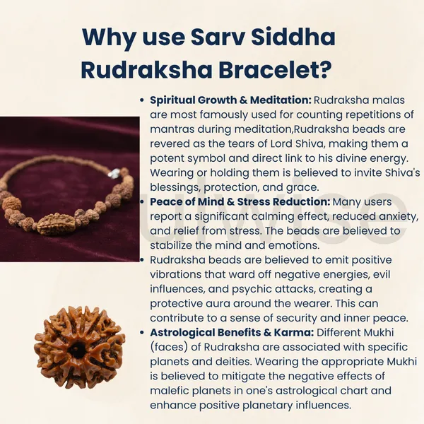 Indonesian_1_14_Mukhi_Rudraksha_Bracelet_Natural_Multi_Face_Rudraksha_For_Spiritual_Growth_Protection_Positivity_Energized_Ready_To_Wear