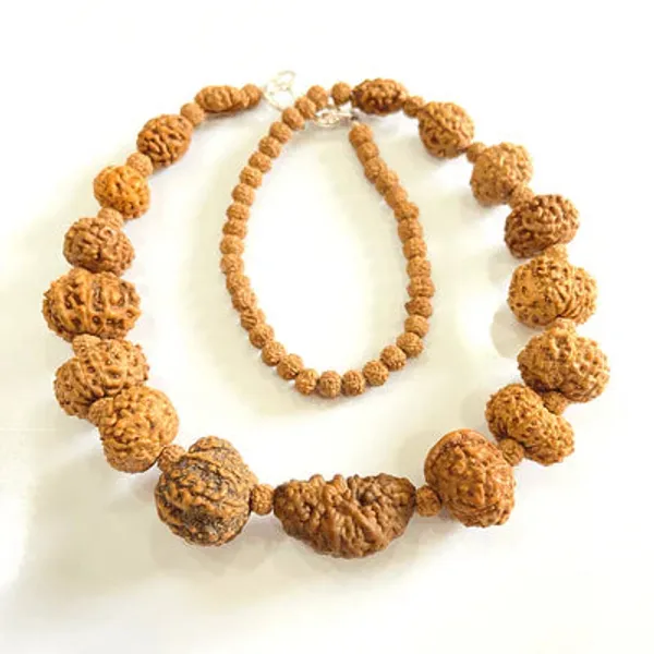 Indonesian_1_14_Mukhi_Rudraksha_Bracelet_Natural_Multi_Face_Rudraksha_For_Spiritual_Growth_Protection_Positivity_Energized_Ready_To_Wear