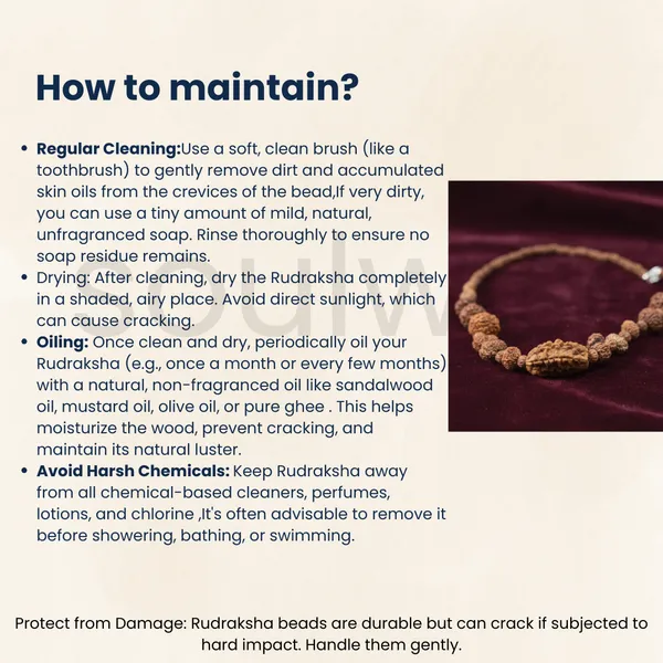 Indonesian_1_14_Mukhi_Rudraksha_Bracelet_Natural_Multi_Face_Rudraksha_For_Spiritual_Growth_Protection_Positivity_Energized_Ready_To_Wear