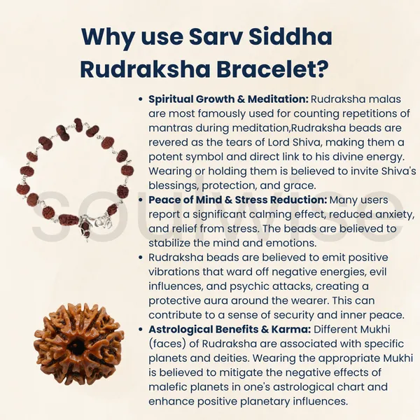 1_To_14_Mukhi_Sarv_Siddha_Rudraksha_Bracelet_In_Pure_Silver_Natural_Multi_Face_Rudraksha_For_Spiritual_Growth_Protection_Positivity_Energized_Blessed