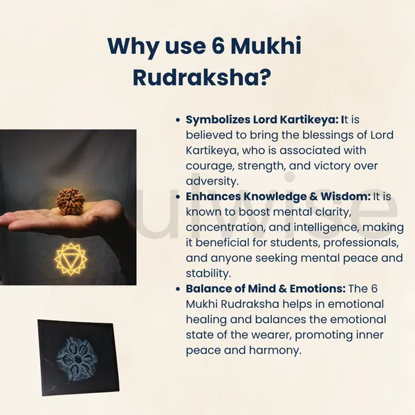 Natural_6_Mukhi_Rudraksha_Nepali_Medium_Size_Six_Face_Rudraksha_With_X_Ray_Report_Energized_Ready_To_Wear