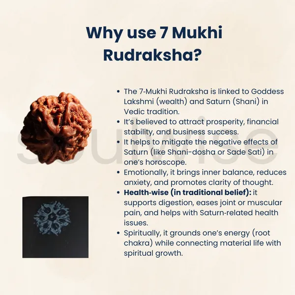 Natural_7_Mukhi_Rudraksha_Nepali_Medium_Size_Seven_Face_Rudraksha_With_X_Ray_Report_Energized_Ready_To_Wear