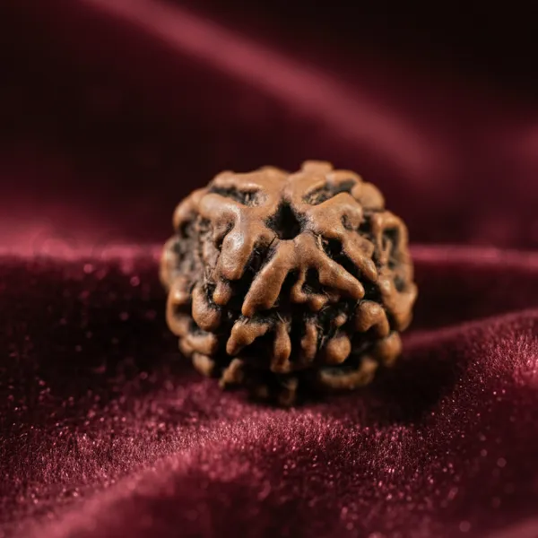Soulwise_Premium_4_Mukhi_Nepali_Rudraksha_Natural_Lab_Certified_Energized_For_Knowledge_Wisdom_Comes_In_Box