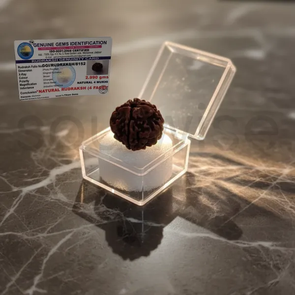 Soulwise_Premium_4_Mukhi_Nepali_Rudraksha_Natural_Lab_Certified_Energized_For_Knowledge_Wisdom_Comes_In_Box