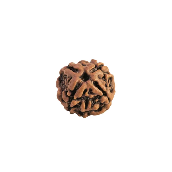 Soulwise_Premium_4_Mukhi_Nepali_Rudraksha_Natural_Lab_Certified_Energized_For_Knowledge_Wisdom_Comes_In_Box
