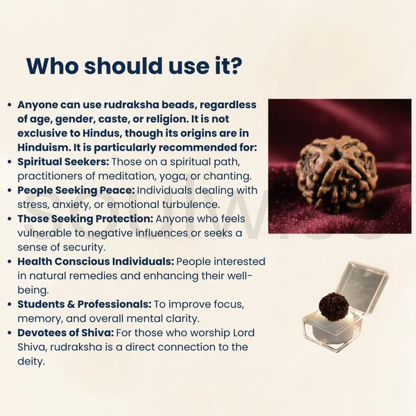 Soulwise_Premium_4_Mukhi_Nepali_Rudraksha_Natural_Lab_Certified_Energized_For_Knowledge_Wisdom_Comes_In_Box