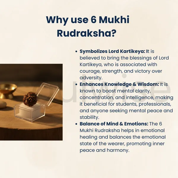 Soulwise_Premium_6_Mukhi_Nepali_Rudraksha_Natural_Lab_Certified_Energized_For_Harmony_Prosperity_Comes_In_Box_Medium_Size