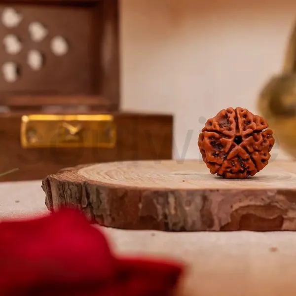 Soulwise_Premium_5_Mukhi_Rudraksha_Natural_Lab_Certified_Energized_For_Health_Spiritual_Power_Comes_In_Box