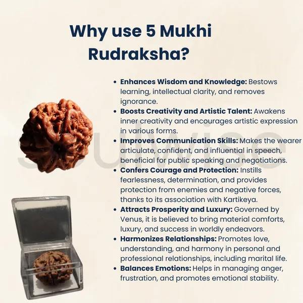Soulwise_Premium_5_Mukhi_Rudraksha_Natural_Lab_Certified_Energized_For_Health_Spiritual_Power_Comes_In_Box