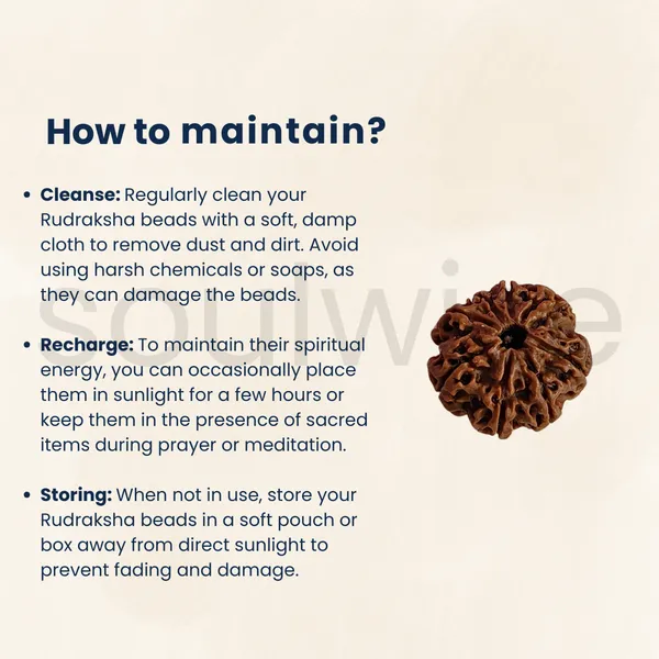 Soulwise_Premium_5_Mukhi_Rudraksha_Natural_Lab_Certified_Energized_For_Health_Spiritual_Power_Comes_In_Box