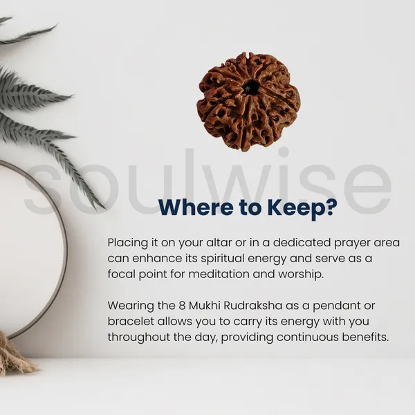 Soulwise_Premium_5_Mukhi_Rudraksha_Natural_Lab_Certified_Energized_For_Health_Spiritual_Power_Comes_In_Box