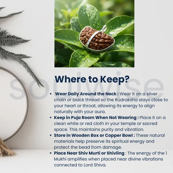 1_Mukhi_Nepali_Rudraksha_Silver_Pendant_Original_Ek_Mukhi_Bead_For_Spiritual_Awakening_Focus_Divine_Blessings_Without_Chain