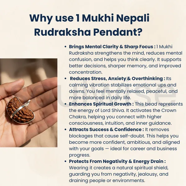 1_Mukhi_Nepali_Rudraksha_Silver_Pendant_Original_Ek_Mukhi_Bead_For_Spiritual_Awakening_Focus_Divine_Blessings_Without_Chain