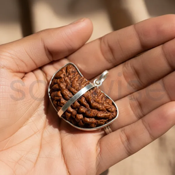1_Mukhi_Nepali_Rudraksha_Silver_Pendant_Original_Ek_Mukhi_Bead_For_Spiritual_Awakening_Focus_Divine_Blessings_Without_Chain