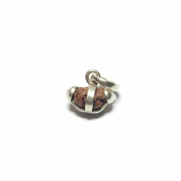 1_Mukhi_Indonesian_Rudraksha_Silver_Pendant_Without_Chain_Certified_Natural_Ek_Mukhi_Rudraksha_For_Spiritual_Awakening_Focus_Divine_Connection