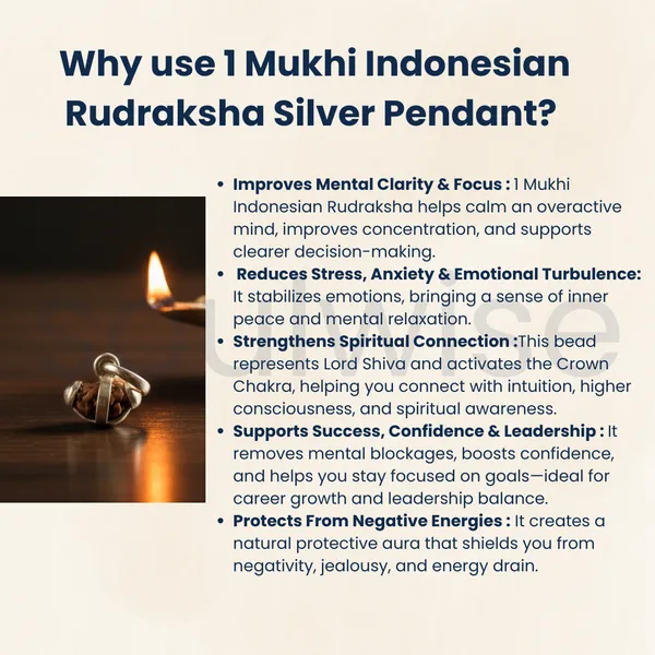 1_Mukhi_Indonesian_Rudraksha_Silver_Pendant_Without_Chain_Certified_Natural_Ek_Mukhi_Rudraksha_For_Spiritual_Awakening_Focus_Divine_Connection