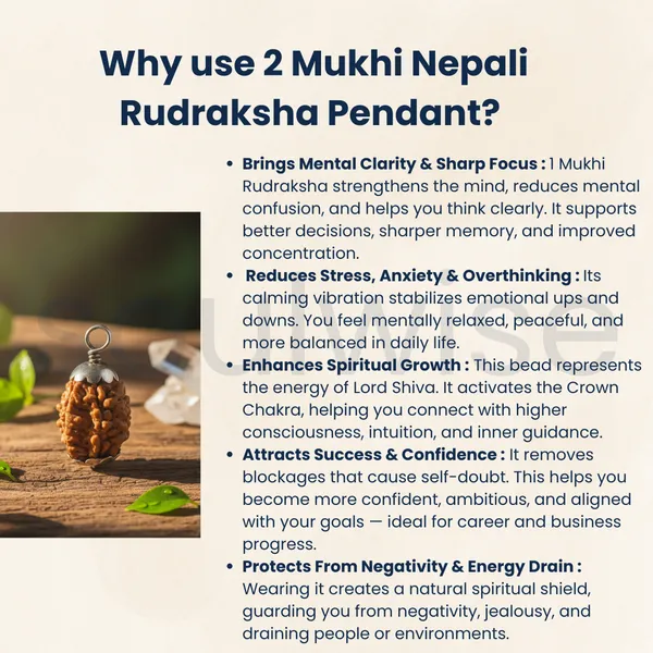 2_Mukhi_Nepali_Rudraksha_Silver_Pendant_Original_Do_Mukhi_Bead_For_Relationship_Harmony_Unity_Emotional_Balance_Without_Chain