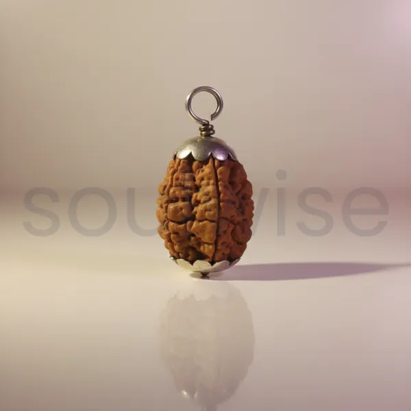 2_Mukhi_Nepali_Rudraksha_Silver_Pendant_Original_Do_Mukhi_Bead_For_Relationship_Harmony_Unity_Emotional_Balance_Without_Chain