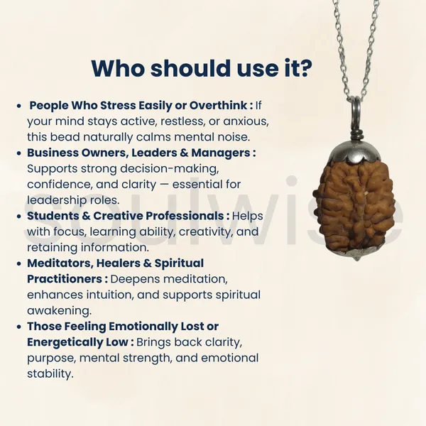 2_Mukhi_Nepali_Rudraksha_Silver_Pendant_Original_Do_Mukhi_Bead_For_Relationship_Harmony_Unity_Emotional_Balance_Without_Chain
