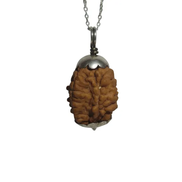 2_Mukhi_Nepali_Rudraksha_Silver_Pendant_Original_Do_Mukhi_Bead_For_Relationship_Harmony_Unity_Emotional_Balance_Without_Chain