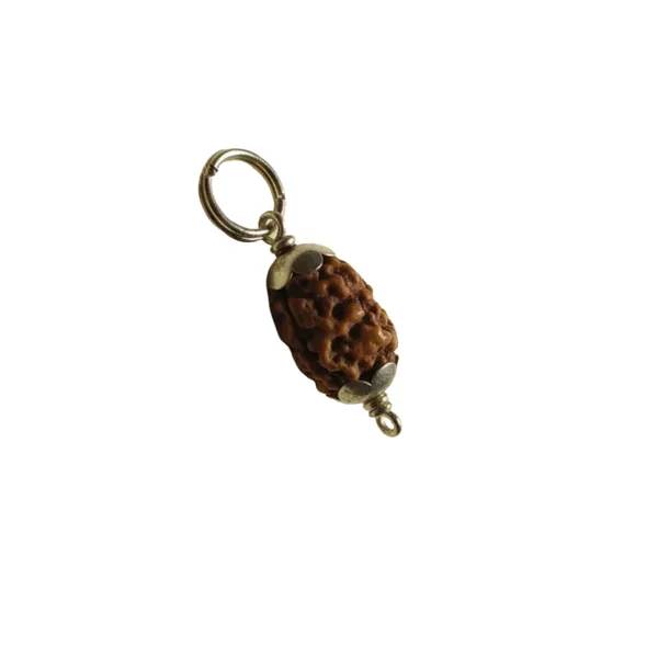 2_Mukhi_Indonesian_Rudraksha_Silver_Pendant_Original_Do_Mukhi_Bead_For_Relationship_Harmony_Unity_Emotional_Balance_Without_Chain