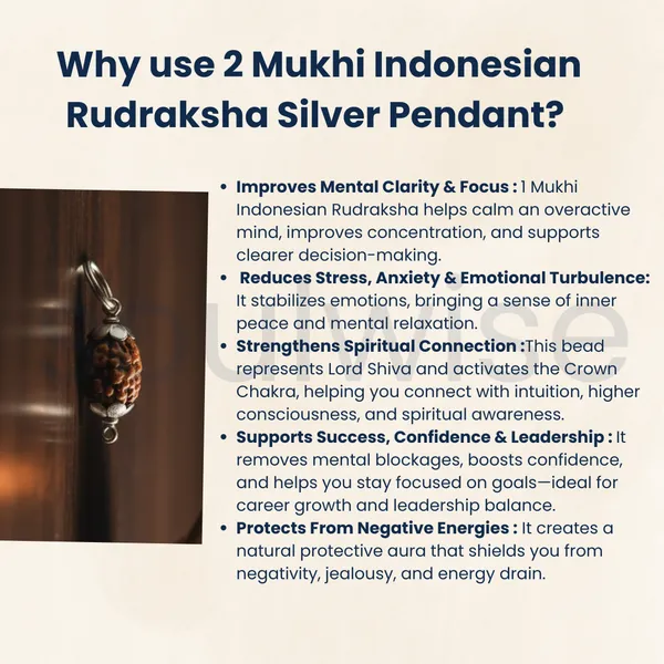 2_Mukhi_Indonesian_Rudraksha_Silver_Pendant_Original_Do_Mukhi_Bead_For_Relationship_Harmony_Unity_Emotional_Balance_Without_Chain