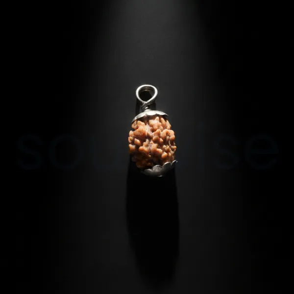3_Mukhi_Nepali_Rudraksha_Silver_Pendant_Original_Teen_Mukhi_Bead_For_Confidence_Energy_Past_Karma_Cleansing_Without_Chain