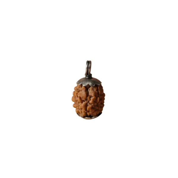 3_Mukhi_Nepali_Rudraksha_Silver_Pendant_Original_Teen_Mukhi_Bead_For_Confidence_Energy_Past_Karma_Cleansing_Without_Chain