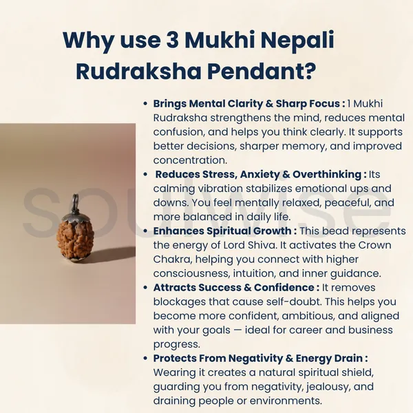 3_Mukhi_Nepali_Rudraksha_Silver_Pendant_Original_Teen_Mukhi_Bead_For_Confidence_Energy_Past_Karma_Cleansing_Without_Chain