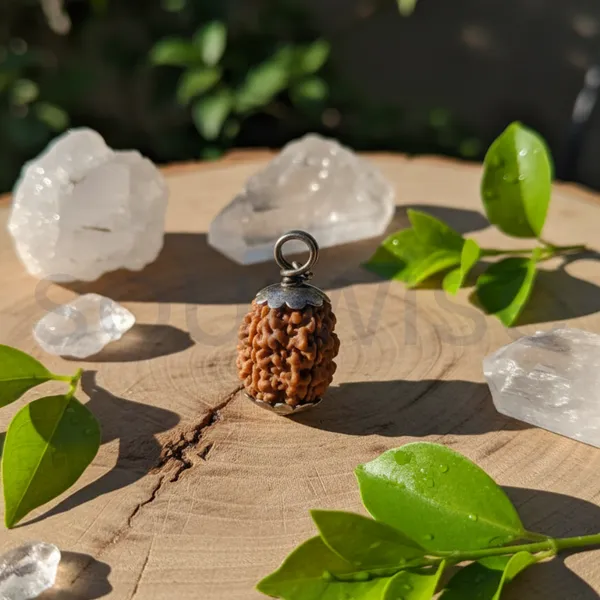 3_Mukhi_Nepali_Rudraksha_Silver_Pendant_Original_Teen_Mukhi_Bead_For_Confidence_Energy_Past_Karma_Cleansing_Without_Chain