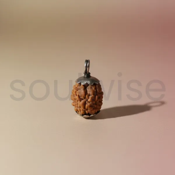 3_Mukhi_Nepali_Rudraksha_Silver_Pendant_Original_Teen_Mukhi_Bead_For_Confidence_Energy_Past_Karma_Cleansing_Without_Chain