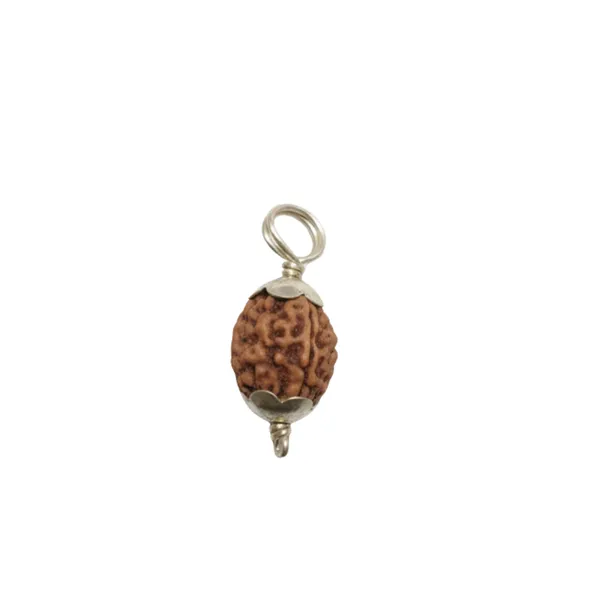 3_Mukhi_Indonesian_Rudraksha_Silver_Pendant_Original_Teen_Mukhi_Bead_For_Confidence_Energy_Past_Karma_Cleansing_Without_Chain