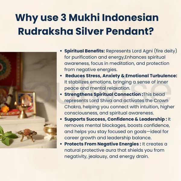 3_Mukhi_Indonesian_Rudraksha_Silver_Pendant_Original_Teen_Mukhi_Bead_For_Confidence_Energy_Past_Karma_Cleansing_Without_Chain