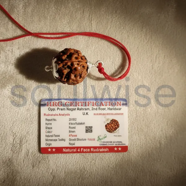 4_Mukhi_Nepali_Rudraksha_Silver_Pendant_Original_Chaar_Mukhi_Bead_For_Wisdom_Knowledge_Communication_Without_Chain