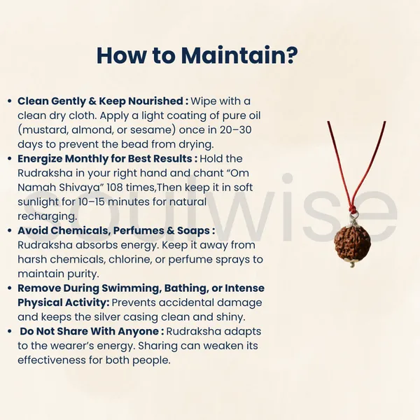 4_Mukhi_Nepali_Rudraksha_Silver_Pendant_Original_Chaar_Mukhi_Bead_For_Wisdom_Knowledge_Communication_Without_Chain