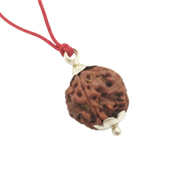 4_Mukhi_Nepali_Rudraksha_Silver_Pendant_Original_Chaar_Mukhi_Bead_For_Wisdom_Knowledge_Communication_Without_Chain