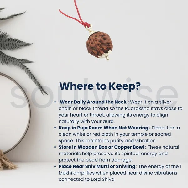 4_Mukhi_Nepali_Rudraksha_Silver_Pendant_Original_Chaar_Mukhi_Bead_For_Wisdom_Knowledge_Communication_Without_Chain