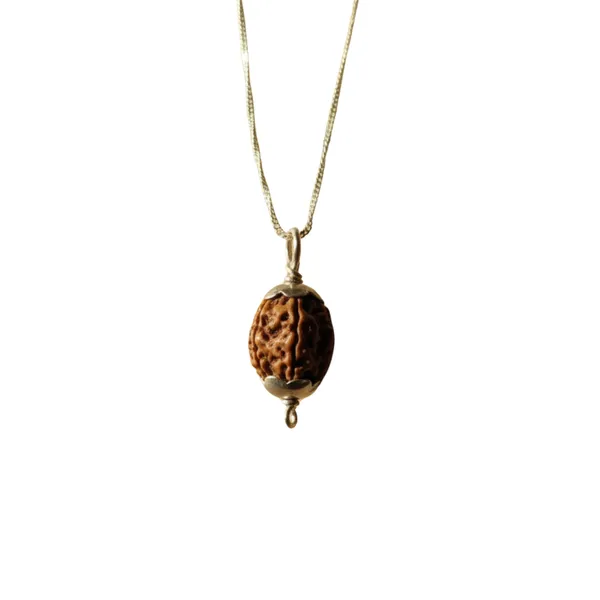 4_Mukhi_Indonesian_Rudraksha_Silver_Pendant_Original_Chaar_Mukhi_Bead_For_Wisdom_Knowledge_Communication_Without_Chain