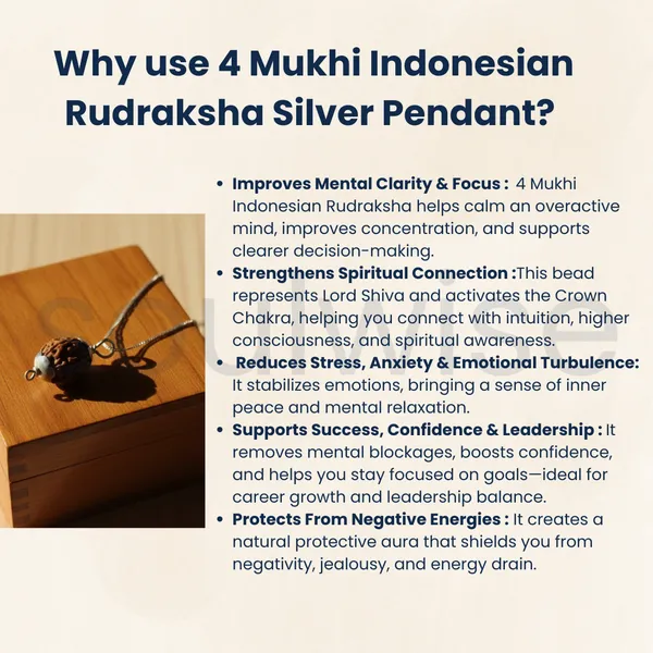 4_Mukhi_Indonesian_Rudraksha_Silver_Pendant_Original_Chaar_Mukhi_Bead_For_Wisdom_Knowledge_Communication_Without_Chain