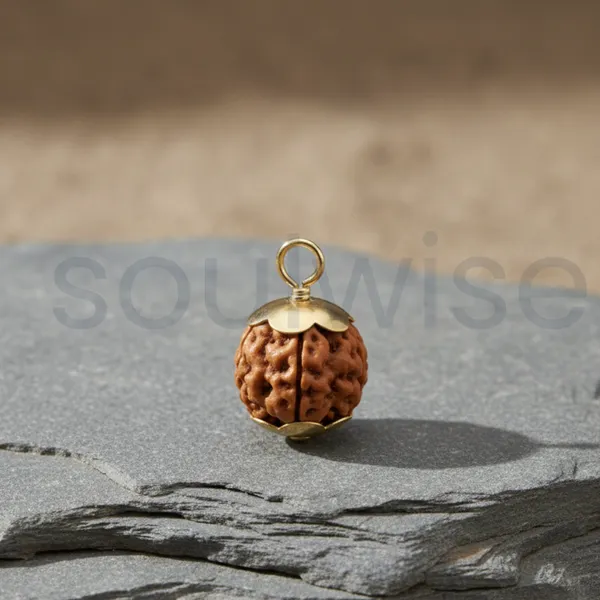 5_Mukhi_Indonesian_Rudraksha_Silver_Pendant_Certified_Natural_Panch_Mukhi_Bead_For_Health_Peace_Positive_Energy