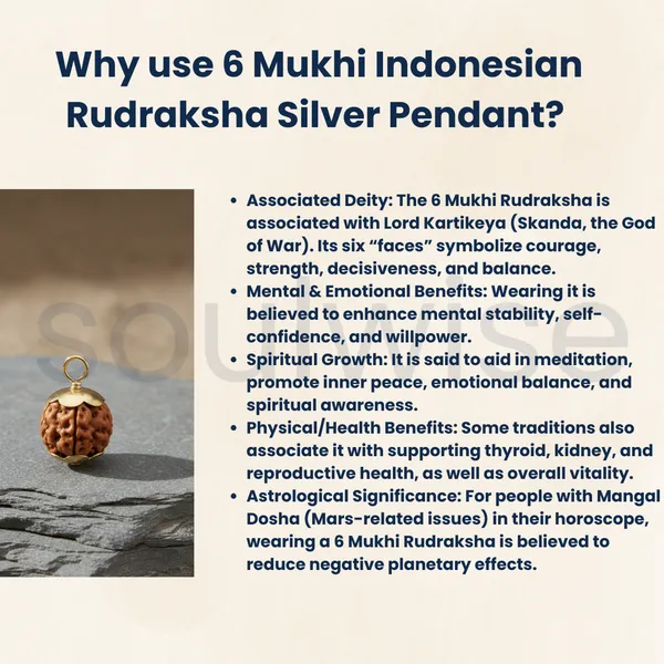 6_Mukhi_Indonesian_Rudraksha_Silver_Pendant_Certified_Natural_Bead_For_Harmony_Health_Positive_Energy