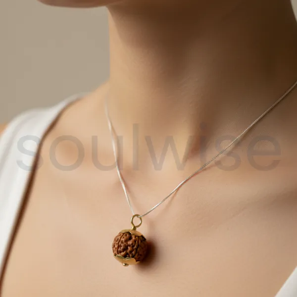 6_Mukhi_Indonesian_Rudraksha_Silver_Pendant_Certified_Natural_Bead_For_Harmony_Health_Positive_Energy