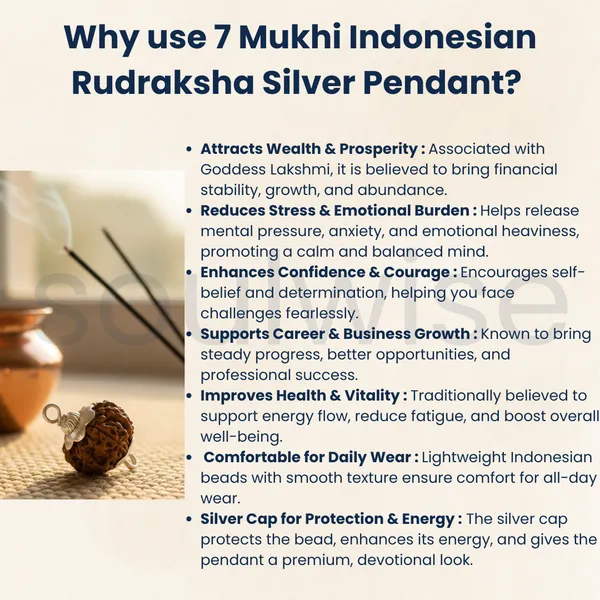 7_Mukhi_Indonesian_Rudraksha_Silver_Pendant_Certified_Natural_Saat_Mukhi_Bead_For_Wealth_Success_Positive_Energy