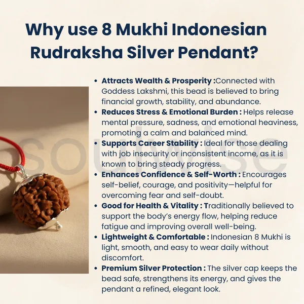 8_Mukhi_Indonesian_Rudraksha_Silver_Pendant_Certified_Natural_Ashta_Mukhi_Bead_For_Success_Obstacle_Removal_Positive_Energy_Unisex