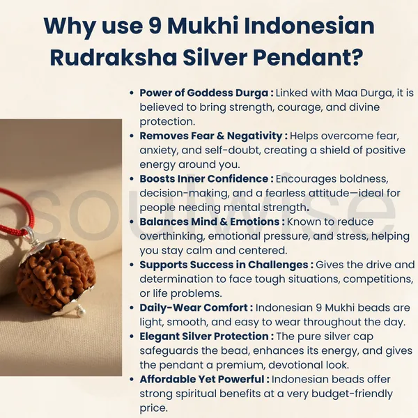9_Mukhi_Indonesian_Rudraksha_Silver_Pendant_Certified_Natural_Bead_For_Strength_Protection_Positive_Energy
