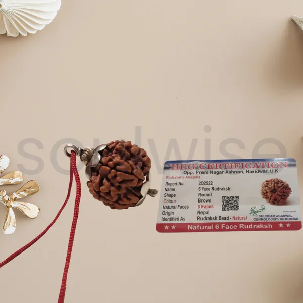 6_Mukhi_Rudraksha_Silver_Pendant_Authentic_Nepalese_Origin_Bead_For_Harmony_Health_Positive_Energy