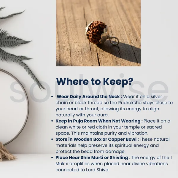 6_Mukhi_Rudraksha_Silver_Pendant_Authentic_Nepalese_Origin_Bead_For_Harmony_Health_Positive_Energy